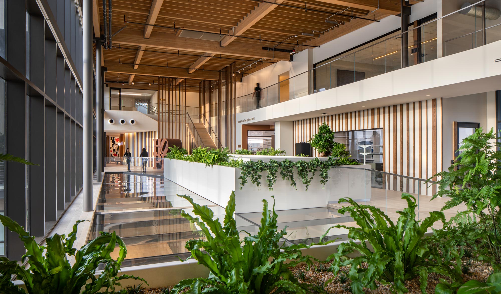 rios-ellison-institute